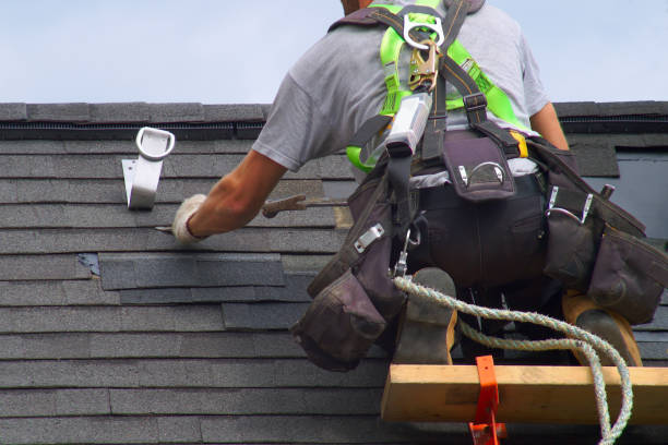 Best Metal Roofing Contractor  in Waterville, NY