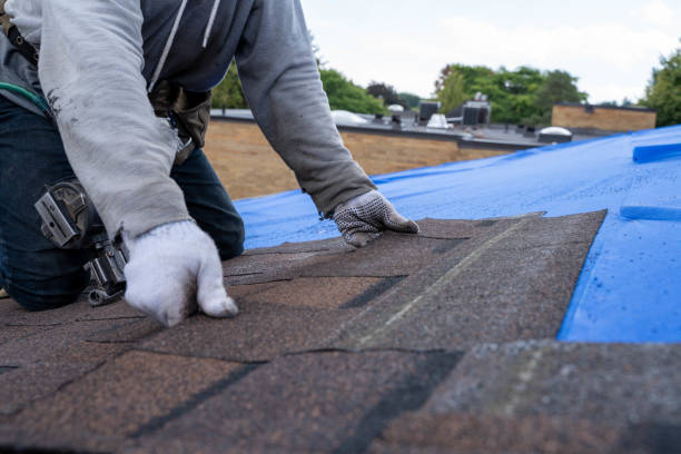 Best Commercial Roofing Services  in Waterville, NY