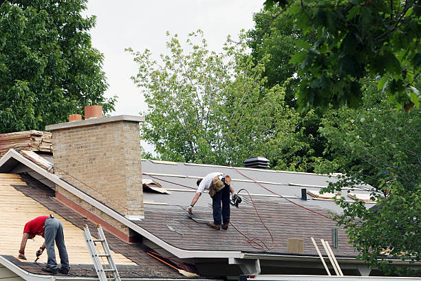 Best Local Roofing Companies  in Waterville, NY